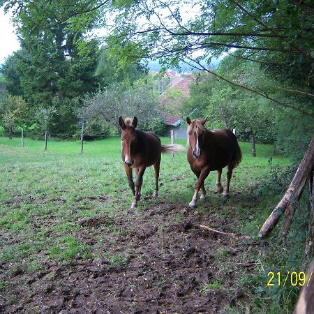 2 chambres d'hôtes privées louées séparément avec communs à partager Beaufort (Jura) Exterior foto