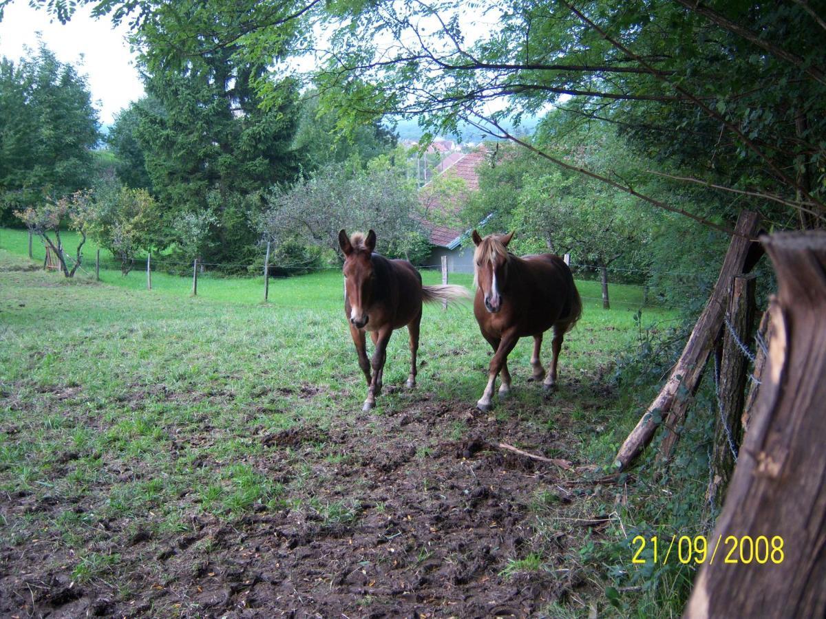 2 chambres d'hôtes privées louées séparément avec communs à partager Beaufort (Jura) Exterior foto