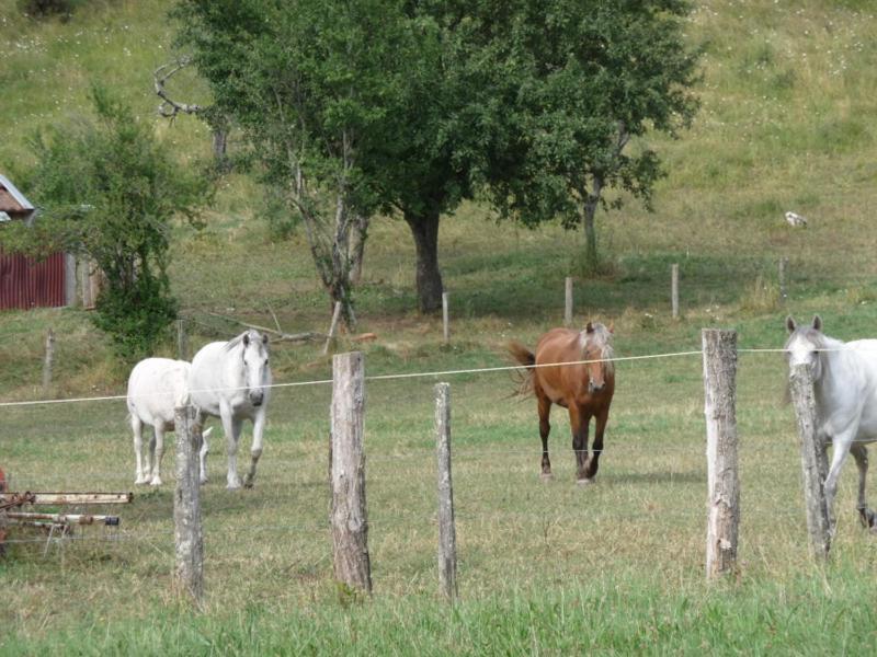 2 chambres d'hôtes privées louées séparément avec communs à partager Beaufort (Jura) Exterior foto